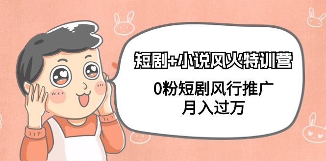 (9374期)短剧+小说风火特训营，0粉短剧风行推广，月入过万(102节课)-91创业项目库