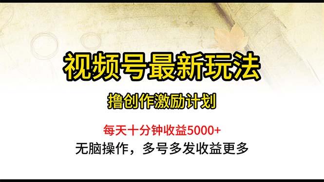 视频号最新玩法，每日一小时月入5000+-91创业项目库