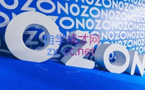 森哥·出海俄罗斯电商实操(2024)-91创业项目库