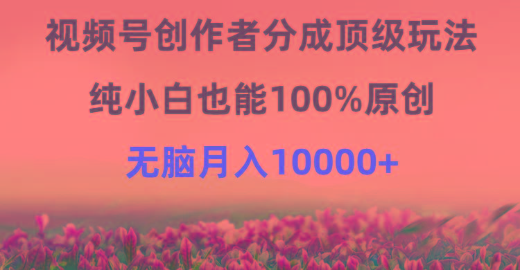 (9608期)视频号创作者分成顶级玩法，纯小白也能100%原创，无脑月入10000+-91创业项目库