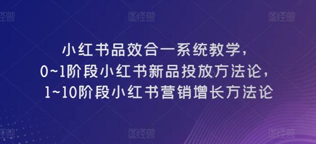 小红书品效合一系统教学，​0~1阶段小红书新品投放方法论，​1~10阶段小红书营销增长方法论-91创业项目库