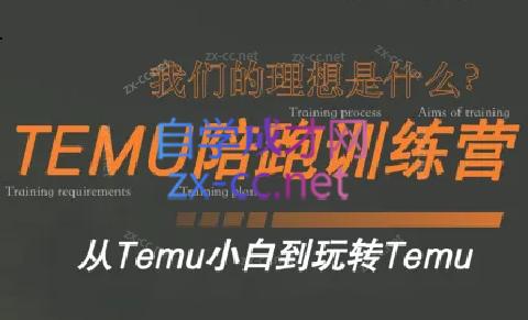 苗苗·拼多多跨境（temu）课程-91创业项目库