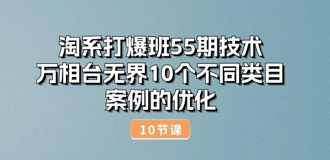 淘系打爆班55期技术：万相台无界10个不同类目案例的优化(10节)-91创业项目库