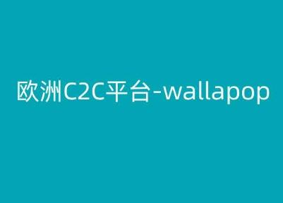 欧洲C2C平台-wallapop-kim跨境电商教程-91创业项目库