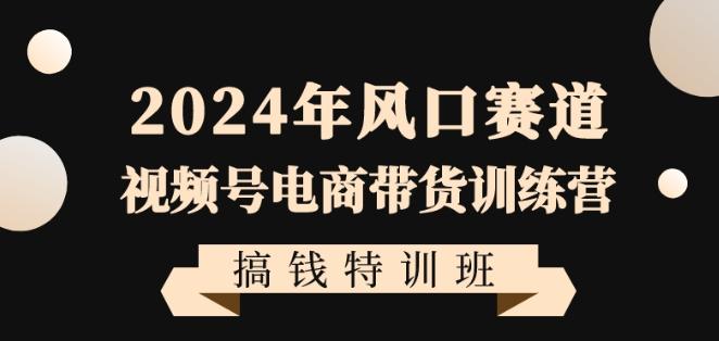 2024年风口赛道视频号电商带货训练营搞钱特训班，带领大家快速入局自媒体电商带货-91创业项目库