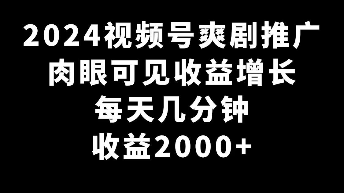 2024视频号爽剧推广，肉眼可见的收益增长，每天几分钟收益2000+-91创业项目库
