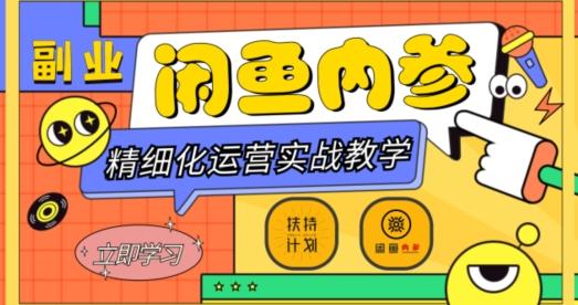 闲鱼精细化运营入门+高阶实战教学，从底层逻辑到轻松变现，多维度玩转闲鱼副业-91创业项目库