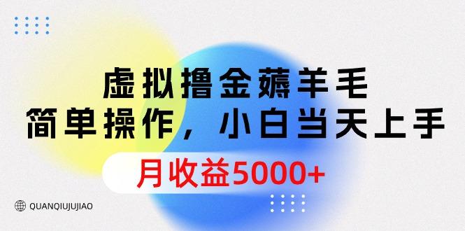 (9864期)虚拟撸金薅羊毛，简单操作，小白当天上手，月收益5000+-91创业项目库
