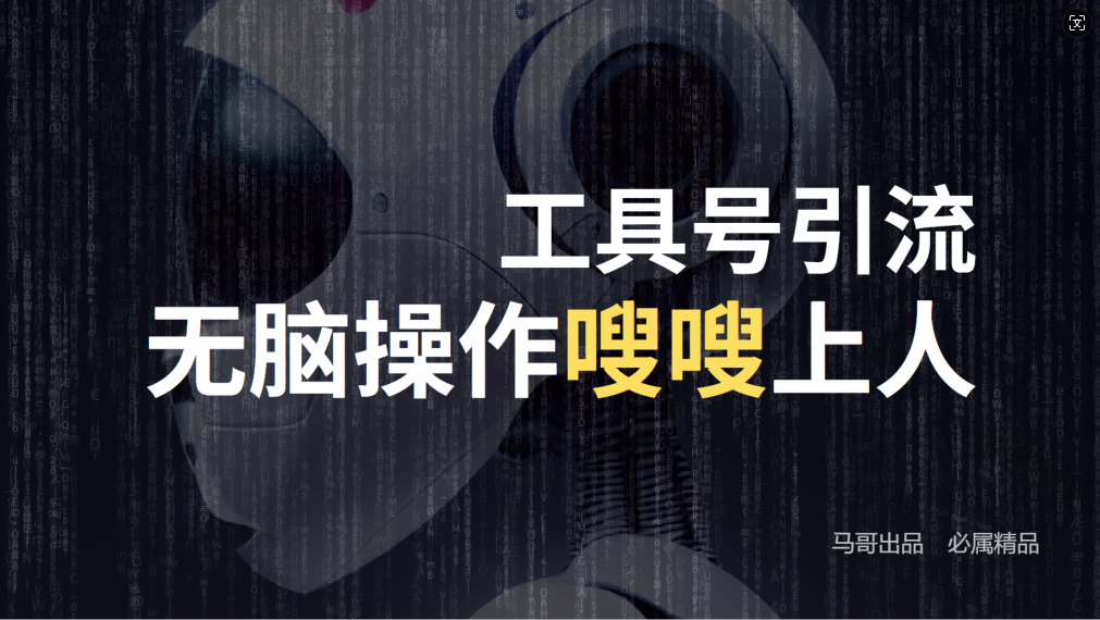 24年抖音最新工具号日引流300+创业粉，日入5000+-91创业项目库