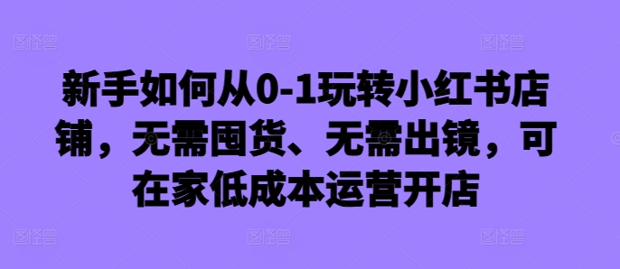 新手如何从0-1玩转小红书店铺，无需囤货、无需出镜，可在家低成本运营开店-91创业项目库