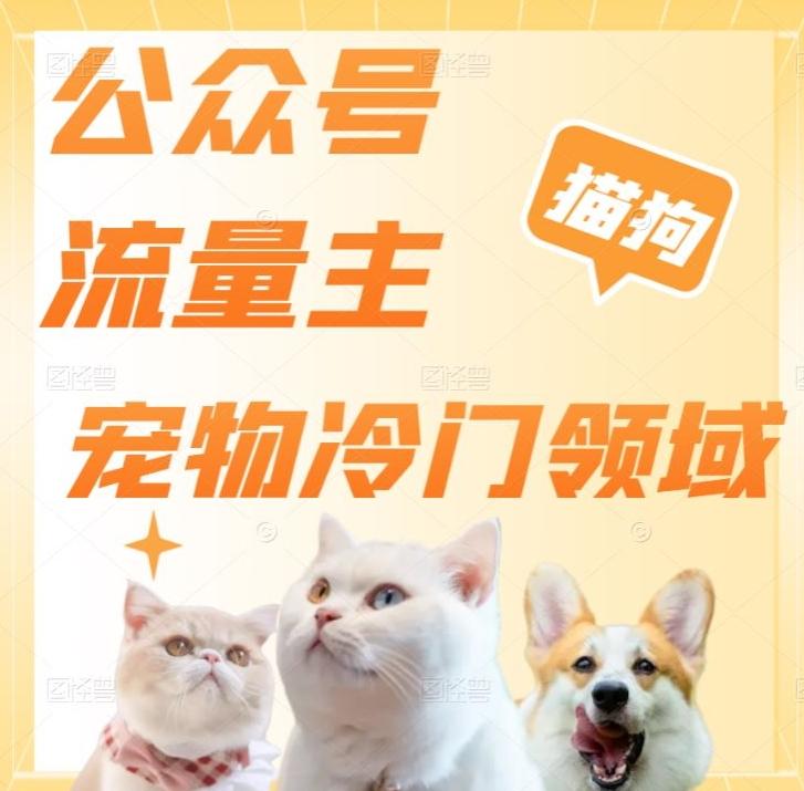公众号流量主，萌宠冷门领域，单日收益2000+，简单暴力掘金，矩阵操作，无限放大收益！-91创业项目库