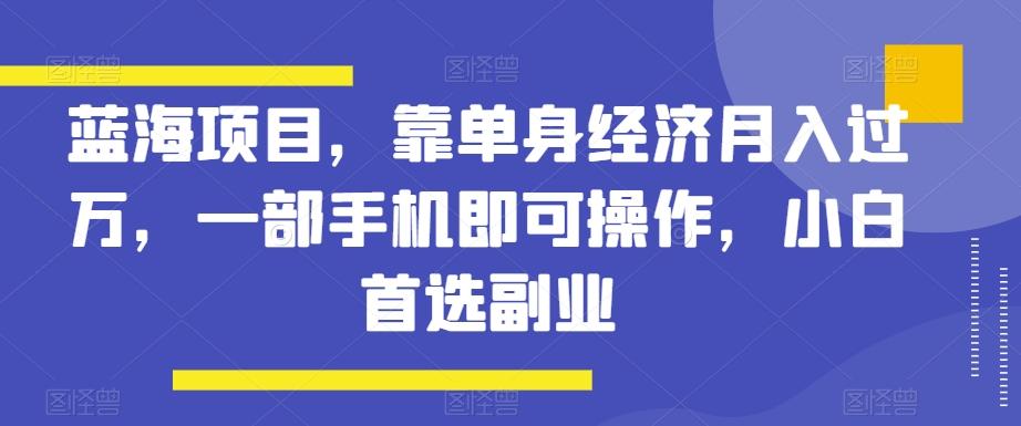 蓝海项目，靠单身经济月入过万，一部手机即可操作，小白首选副业【揭秘】-91创业项目库