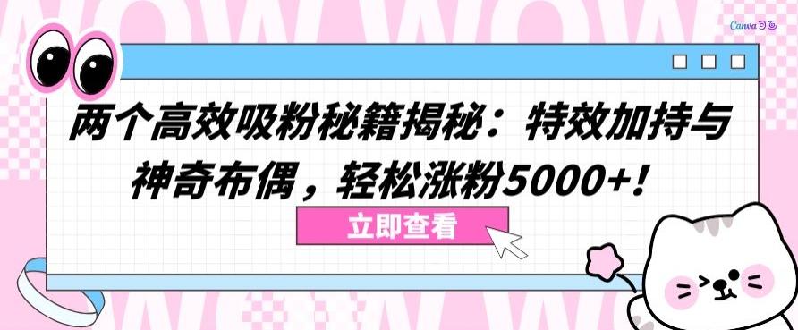 两个高效吸粉秘籍揭秘：特效加持与神奇布偶，轻松涨粉5000+【揭秘】-91创业项目库