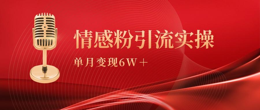(9473期)单月变现6w+，情感粉引流变现实操课-91创业项目库