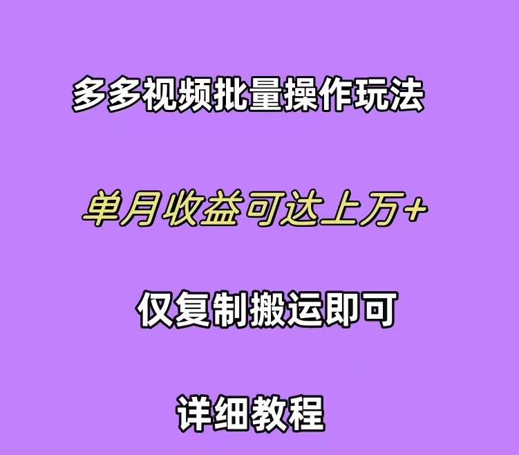 (10029期)拼多多视频带货快速过爆款选品教程 每天轻轻松松赚取三位数佣金 小白必…-91创业项目库