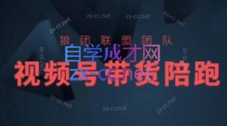 狼团联盟·2024视频号带货-91创业项目库