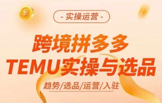 跨境拼多多TEMU实操与选品，多多temu跨境选品运营实操-91创业项目库