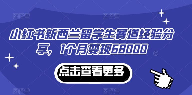 小红书新西兰留学生赛道经验分享，1个月变现68000【揭秘】-91创业项目库