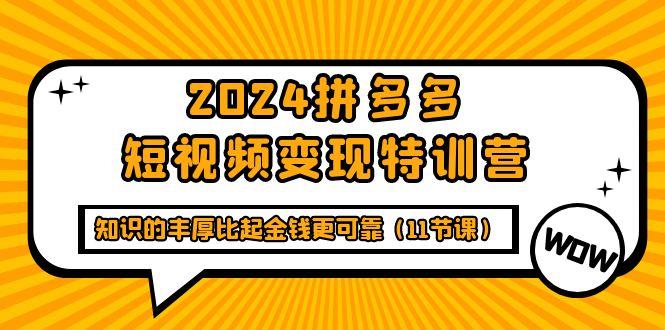 (9817期)2024拼多多短视频变现特训营，知识的丰厚比起金钱更可靠(11节课)-91创业项目库