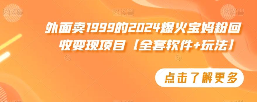 外面卖1999的2024爆火宝妈粉回收变现项目【全套软件+玩法】【揭秘】-91创业项目库