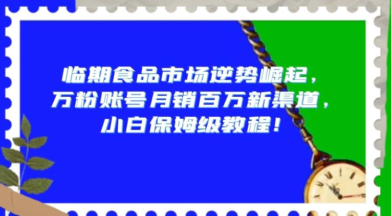 临期食品市场逆势崛起，万粉账号月销百万新渠道，小白保姆级教程【揭秘】-91创业项目库