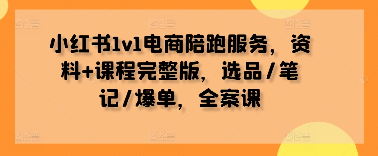 小红书1v1电商陪跑服务，资料+课程完整版，选品/笔记/爆单，全案课-91创业项目库