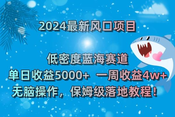 (8545期)2024最新风口项目 低密度蓝海赛道，日收益5000+周收益4w+ 无脑操作，保…-91创业项目库