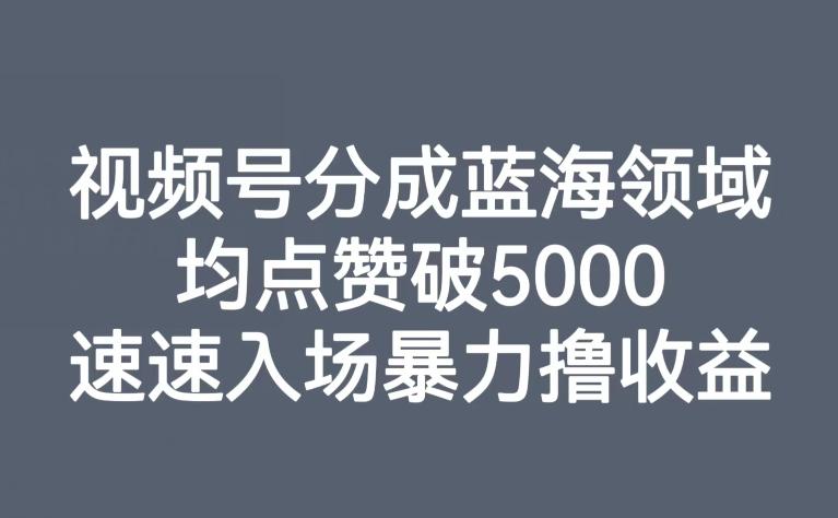 视频号分成蓝海领域，均点赞破5000，速速入场暴力撸收益-91创业项目库