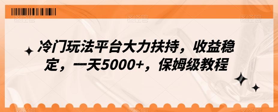 冷门玩法平台大力扶持，收益稳定，一天5000+，保姆级教程（附抖音7天起号法）-91创业项目库