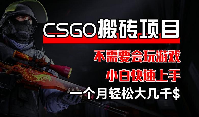 CSGO 装备搬砖项目，操作简单，不需要会玩游戏，小白也能快速上手，一个月轻松大几千【揭秘】-91创业项目库