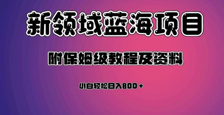 虚拟资源蓝海领域新项目，轻松日入800＋，附保姆级教程及资料-91创业项目库