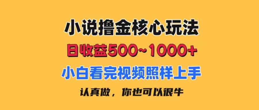 小说撸金核心玩法，日收益500-1000+，小白看完照样上手，0成本有手就行-91创业项目库