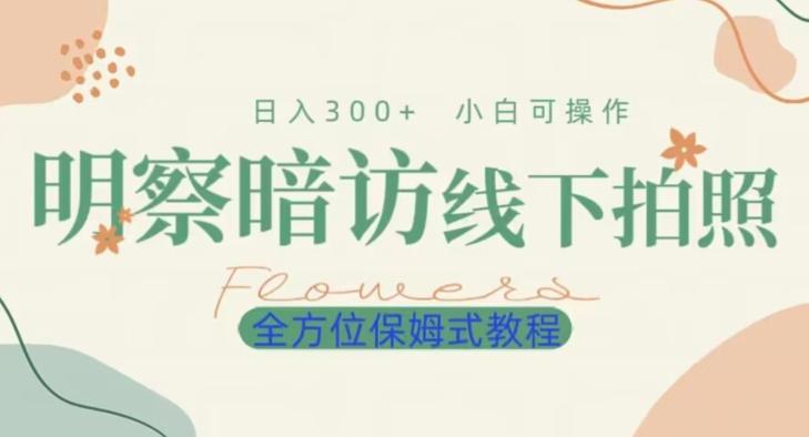 明拍暗拍项目0成本投入日入300+小白可操作保姆式全方位教程-91创业项目库