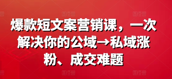 爆款短文案营销课，一次解决你的公域→私域涨粉、成交难题-91创业项目库