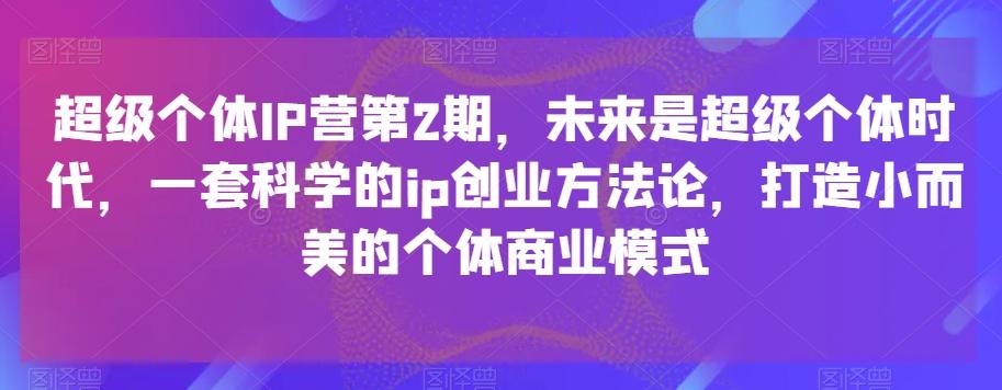 超级个体IP营第2期，未来是超级个体时代，一套科学的ip创业方法论，打造小而美的个体商业模式-91创业项目库