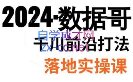 数据哥·2024年千川前沿打法落地实操课-91创业项目库