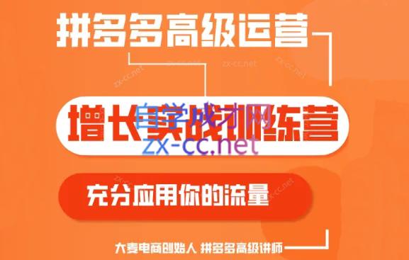 大麦老师·拼多多单品爆款打造课程(更新6月)-91创业项目库