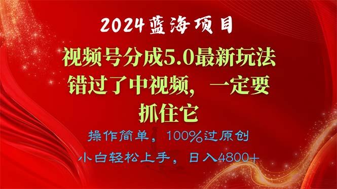 2024蓝海项目，视频号分成计划5.0最新玩法，错过了中视频，一定要抓住…-91创业项目库