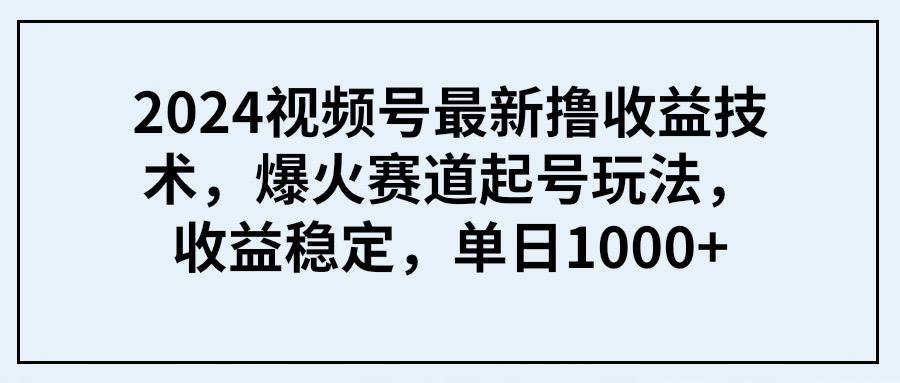 (9651期) 2024视频号最新撸收益技术，爆火赛道起号玩法，收益稳定，单日1000+-91创业项目库