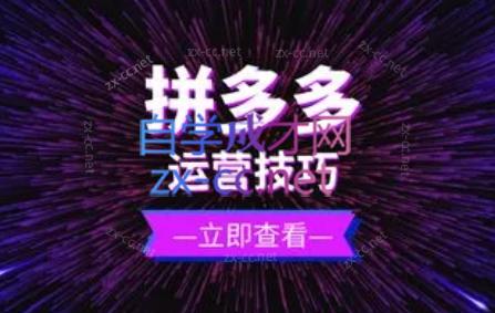 力辛电商·拼多多强付费店群玩法-91创业项目库