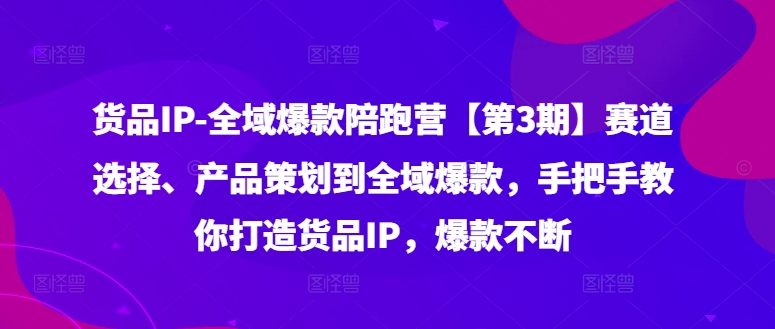 货品IP全域爆款陪跑营【第3期】赛道选择、产品策划到全域爆款，手把手教你打造货品IP，爆款不断-91创业项目库