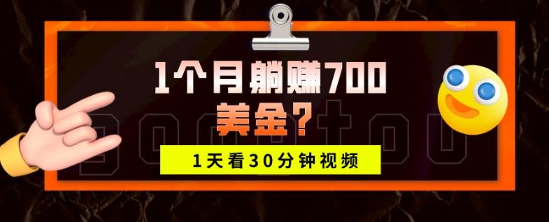 1天看30分钟视频，1个月躺赚700美金？-91创业项目库