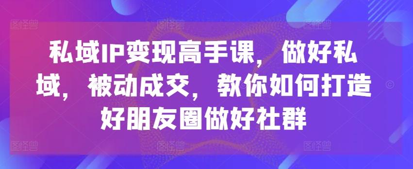 私域IP变现高手课，做好私域，被动成交，教你如何打造好朋友圈做好社群-91创业项目库