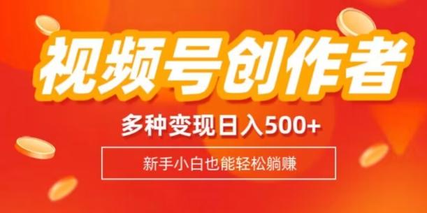 视频号创作者计划，多种变现方式，日入500+【内附1080g视频素材】-91创业项目库