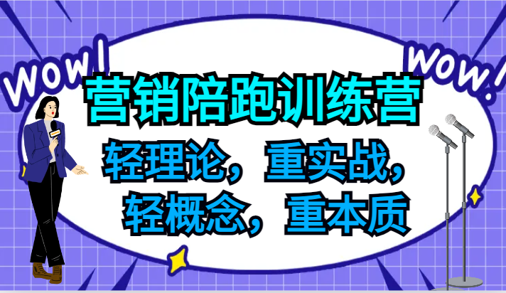 营销陪跑训练营，轻理论，重实战，轻概念，重本质，适合中小企业和初创企业的老板-91创业项目库