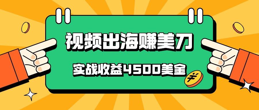 国内爆款视频出海赚美刀,实战收益4500美金,批量无脑搬运,无需经验直接上手-91创业项目库