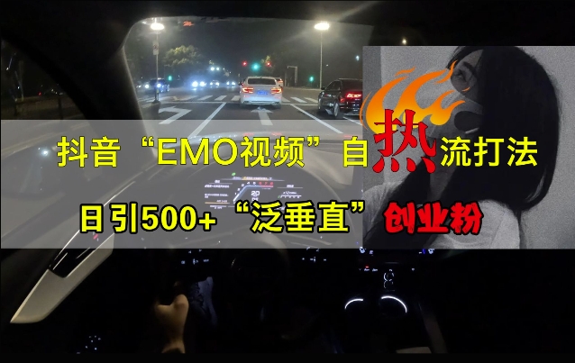 抖音EMO视频自热打法，日引500+“泛垂直”创业粉-91创业项目库