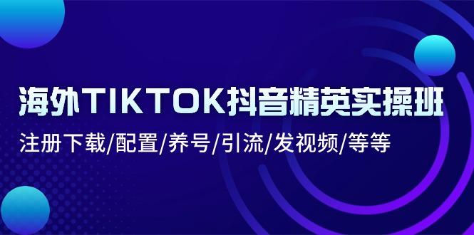 海外TIKTOK抖音精英实操班：注册下载/配置/养号/引流/发视频/等等-91创业项目库
