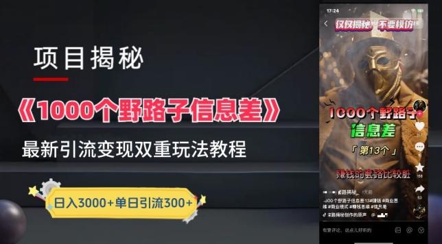 一千个野路子信息差最新玩法教程-变现+引流的玩法具体拆解【揭秘】-91创业项目库