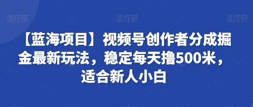 【蓝海项目】视频号创作者分成掘金最新玩法，稳定每天撸500米，适合新人小白【揭秘】-91创业项目库